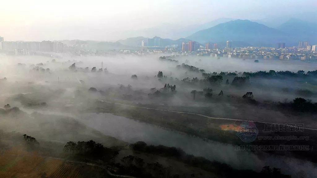 职场中，领导一般会提拔什么样的员工？
