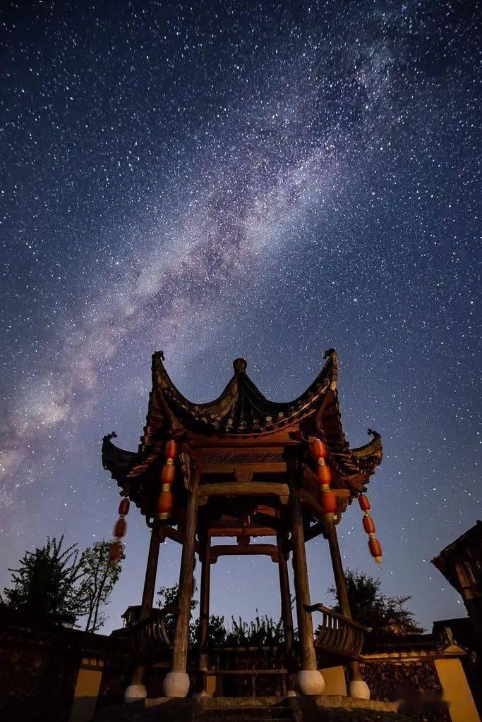 探索这是只什么鸟?的知识星球,开启智慧之旅