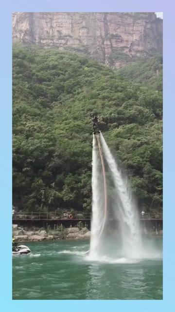 呆萌动物园
