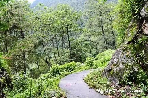 *ST爱迪(002740.SZ):深交所拟终止公司股票上市交易