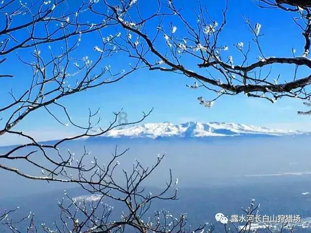 救援外星小怪物