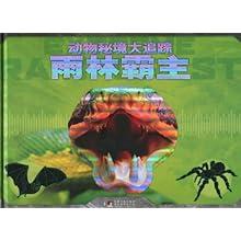 3D光雕投影整体解决方案
