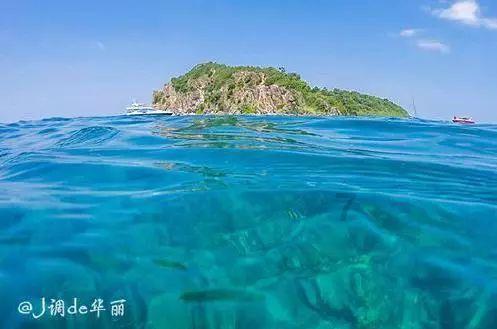 逃离梦想花园