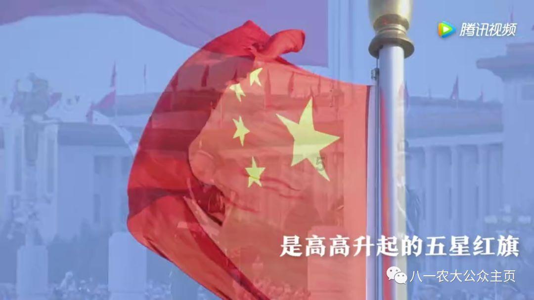 海贼王伟大冒险