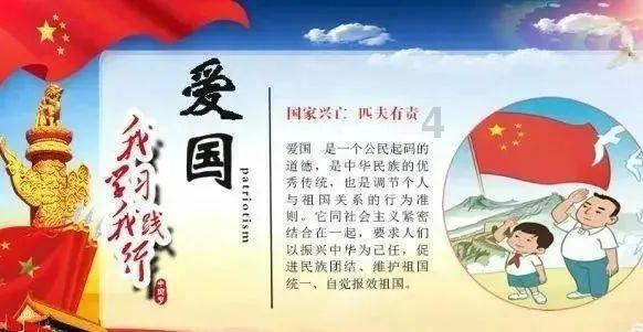 看到别人把两只狗从车上扔掉，她选择了这样做...