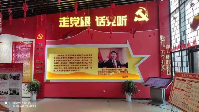 救援受困的老虎