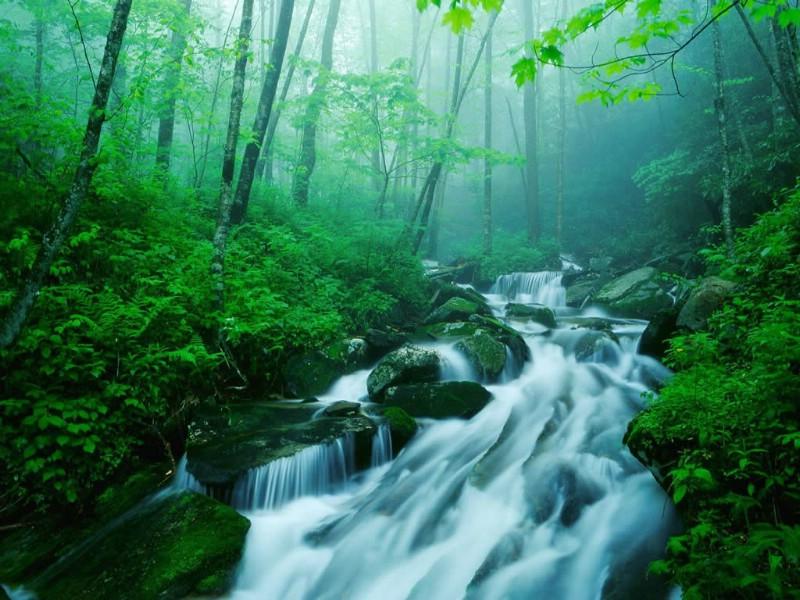 春雨之后，肥嫩的韭菜叶子在疯长，吃韭菜对健康有什么好处？游戏画面