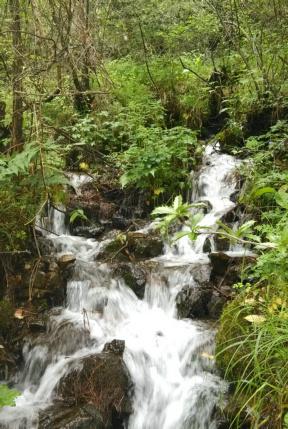 《链接山海》第四集:《新赛道》