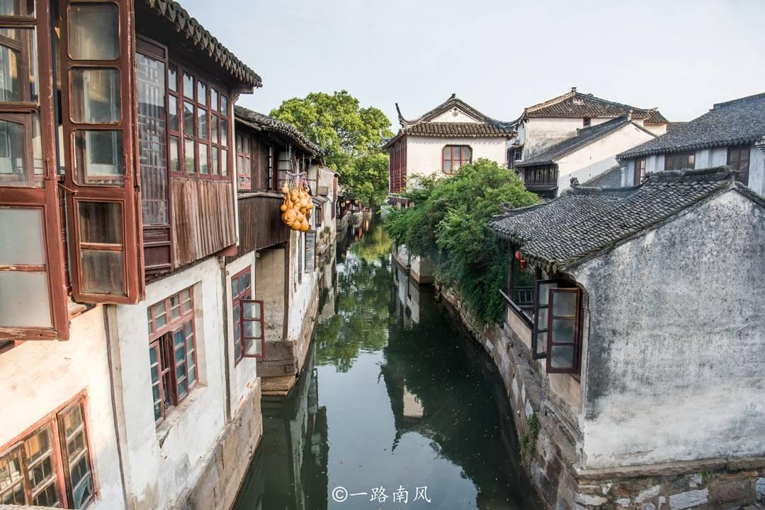 救援受困的鬃狼