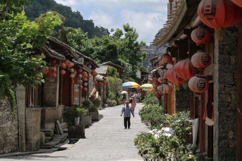 奥日与黑暗森林