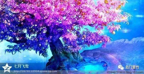 艾米高中校服